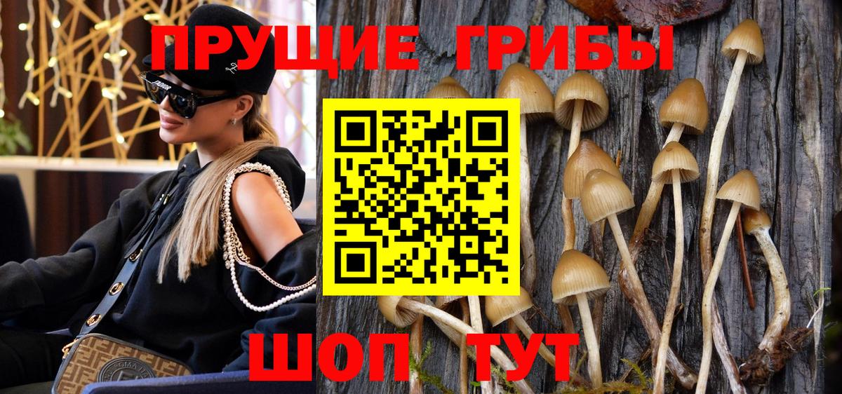 Галлюциногенные грибы MAGIC MUSHROOMS  Галлюциногенные грибы ЛСД  Вход с VPN  Донской 